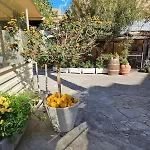 Casa Julia Tropea * Ciaramiti